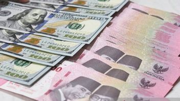 BI Governor Confident that the Rupiah Will Return to Stability