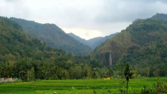 Warga Lereng Bukit Menoreh Kulon Progo Diminta Waspada Potensi Tanah Longsor