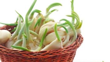 大蒜芽仍然安全食用或应该扔掉？这是专家的说法