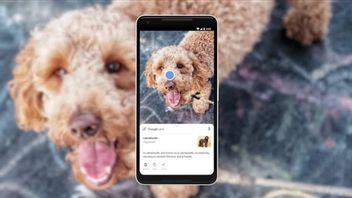 Google Lens présente la recherche d'objets grâce à des vidéos