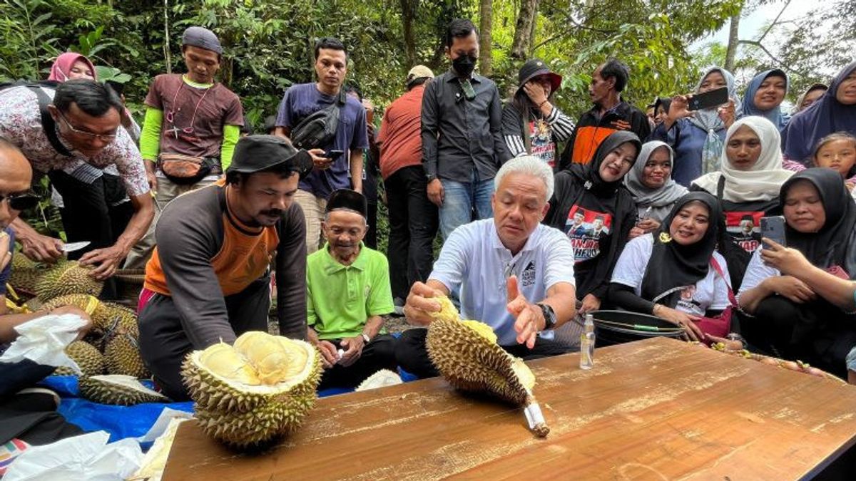 Ganjar Realizes Wilayu Village In Wonosobo Becomes Durian Tourism Destination If He Wins The 2024 Presidential Election