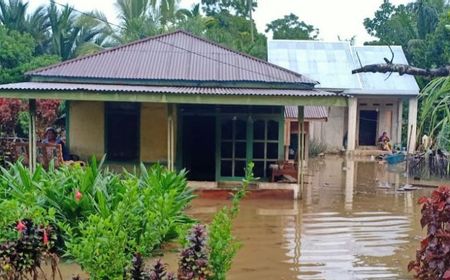 Sembilan Kabupaten di Bengkulu Terendam Banjir, 743 Rumah Terkena Dampak