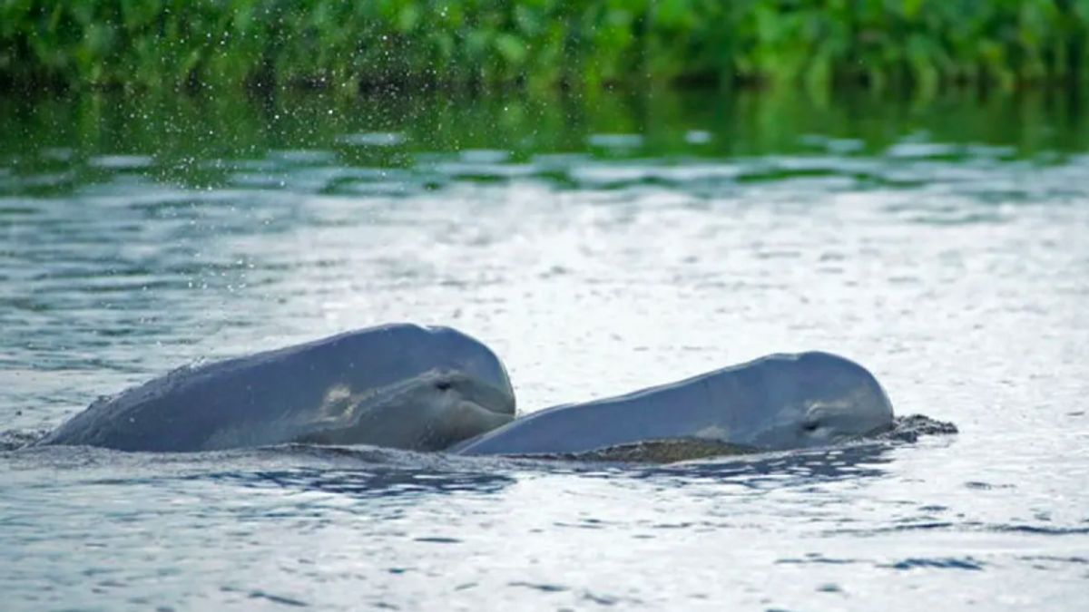 ar, c'est le plan du gouvernement pour sauver le village de Mahakam (en malgache)