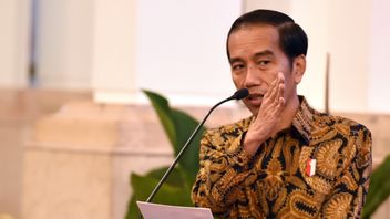 Jokowi's Anger At The Ministers Regarding Imports Is Considered As Frustration