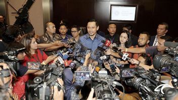 Andi Arief Until The Vice President's Daughter Maruf Amin Becomes The Democrat Party Administrator