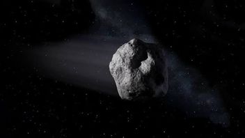 Asteroids As Big As Planes Will Approach Earth, This Is What NASA Says