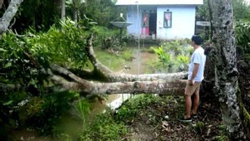 大雨袭击南苏拉威西岛巴鲁：1，149所房屋被淹，4个地区受到山体滑坡的影响