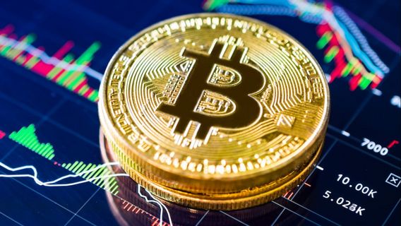 CEO CryptoQuant Sebut Bitcoin Tidak Sedang Bubble, Begini Menurutnya!