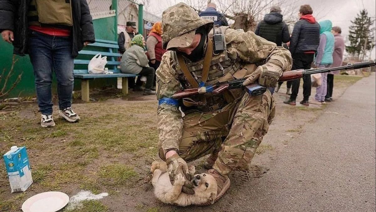مئات الحيوانات تموت نتيجة الغزو الروسي لأوكرانيا والجمعيات الخيرية تدعو إلى إنشاء ممرات خضراء للإجلاء