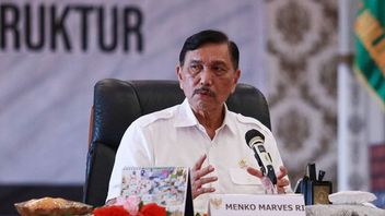 Luhut: World Leader Admits Indonesia Can Handle COVID-19 Pandemic