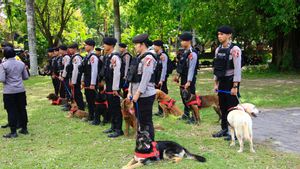 Puluhan Anjing K-9 Sterilisasi Area Delegasi KTT World Water Forum di Bali