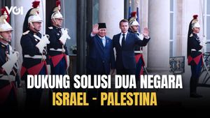 Presiden Prabowo Subianto: Prancis Dukung Solusi Dua Negara Israel dan Palestina