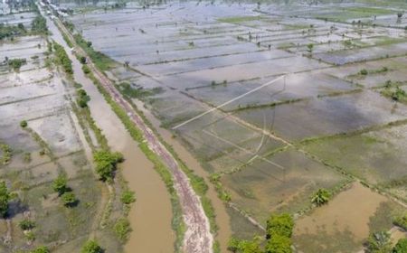 Kabar Buruk, 2.773 Hektare Sawah di Kabupaten OKI Sumsel Terancam Gagal Panen