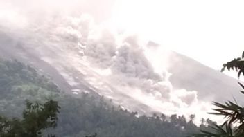Dozens Of Residents Of Bolo Hamlet Evacuated Due To Hot Clouds Falling Mount Karangetang, North Sulawesi