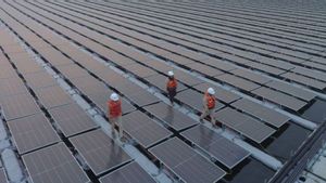 Analis Ungkap Prospek Sektor EBT 2025 Dinilai Stabil