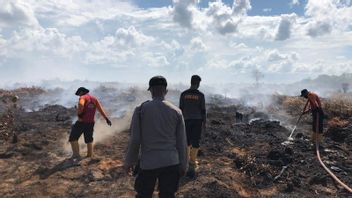 BBKSDA Papua Admits There Is Land Burning In Cycloop Mountains Nature Reserve