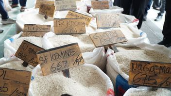 Director Of Food Station Suspects Of Oplosan Rice, DKI Provincial Government Prioritizes Non-Disturbed Food Distribution
