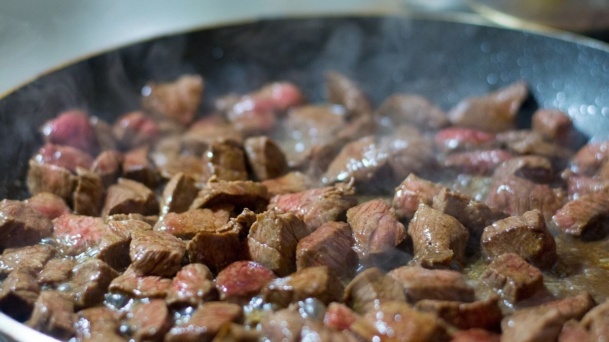 Aturan Diet Karnivora: Menghilangkan Sumber Protein Nabati dari Menu Makanan Harian, Bagaimana Risikonya? 
