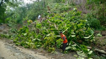 Muara Landslides The Trenggalek-Pacitan Line Is Cut Off, Many Vehicles Choose To Turn Back
