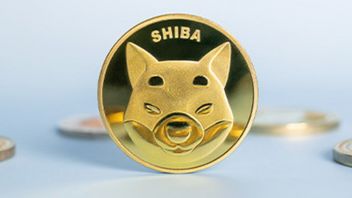 柴犬の開発者は今週シバリウムを発売する予定です!