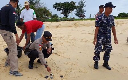 Warga Natuna Kepri Perlu Tahu, Jual Telur Penyu Sangat Dilarang Bisa Diancam Pidana Lho!