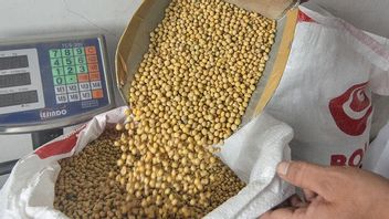 稳定国内大豆价格，观察家建议印尼从巴西和阿根廷进口大豆
