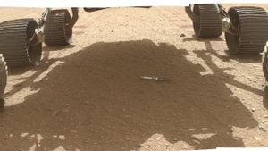 Ini Misi Perseverance Selanjutnya Usai Kumpulkan Sampel Batuan di Deposit Penyimpanan di Mars