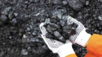 جاكرتا - حددت وزارة الطاقة والثروة المعدنية أحدث سعر مرجع للفحم والمعادن والفحم ، إليك التفاصيل
