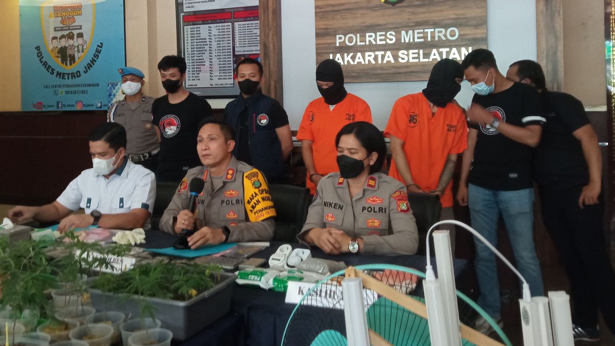 Releases Case Of Cannabis Hydroponic Cultivation In Bekasi, South Jakarta Metro Police Deputy Chief: Actors Get Knowledge From Watching YouTube