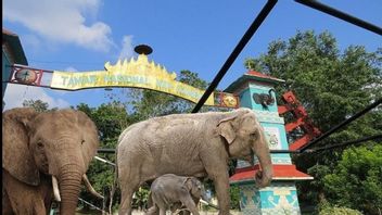 8 Destinasi Libur Lebaran di Lampung, Cocok Dikunjungi Bareng Keluarga