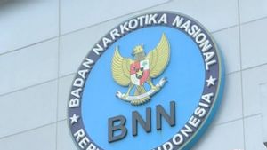 2 Hakim dan Satu Panitera Ditangkap BNN