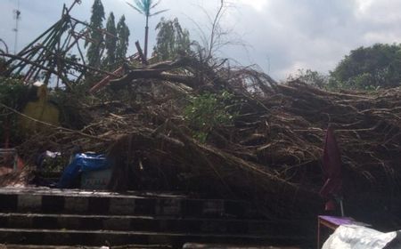 Pohon Beringin di Lapangan Denggung Sleman Tumbang Timpa Wahana Kora-kora