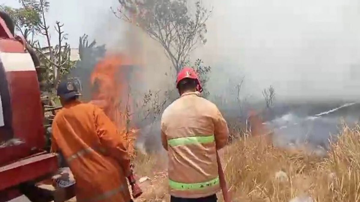 South Lampung Firefighters Handling 4 Land Fires