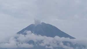  Gunung Semeru Erupsi 4 Kali, Warga Diminta Menjauh 5 Km dari Puncak 