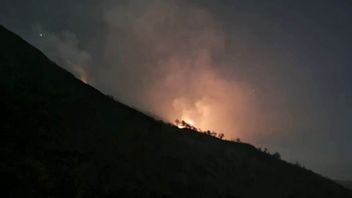 Polres Malang Buru Pemburu Liar Pemicu Kebakaran Gunung Arjuno