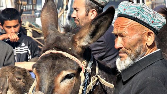 美国国会委员会揭露新疆维吾尔族穆斯林的人道主义罪行和灭绝种族罪