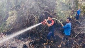 Ancaman Karhutla Masih Mengintai Aceh Barat Meski Diguyur Hujan