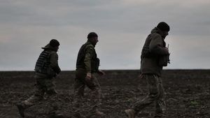 The Netherlands Will Send Combat Equipment To Ukraine At Zelenskyy's Request