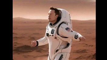 Elon Musk Considers Using Bitcoin On Mars Despite Constraints Of Slow Transactions