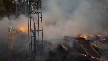 Ribuan Ayam Terpanggang Akibat Kebakaran Peternakan di Semarang