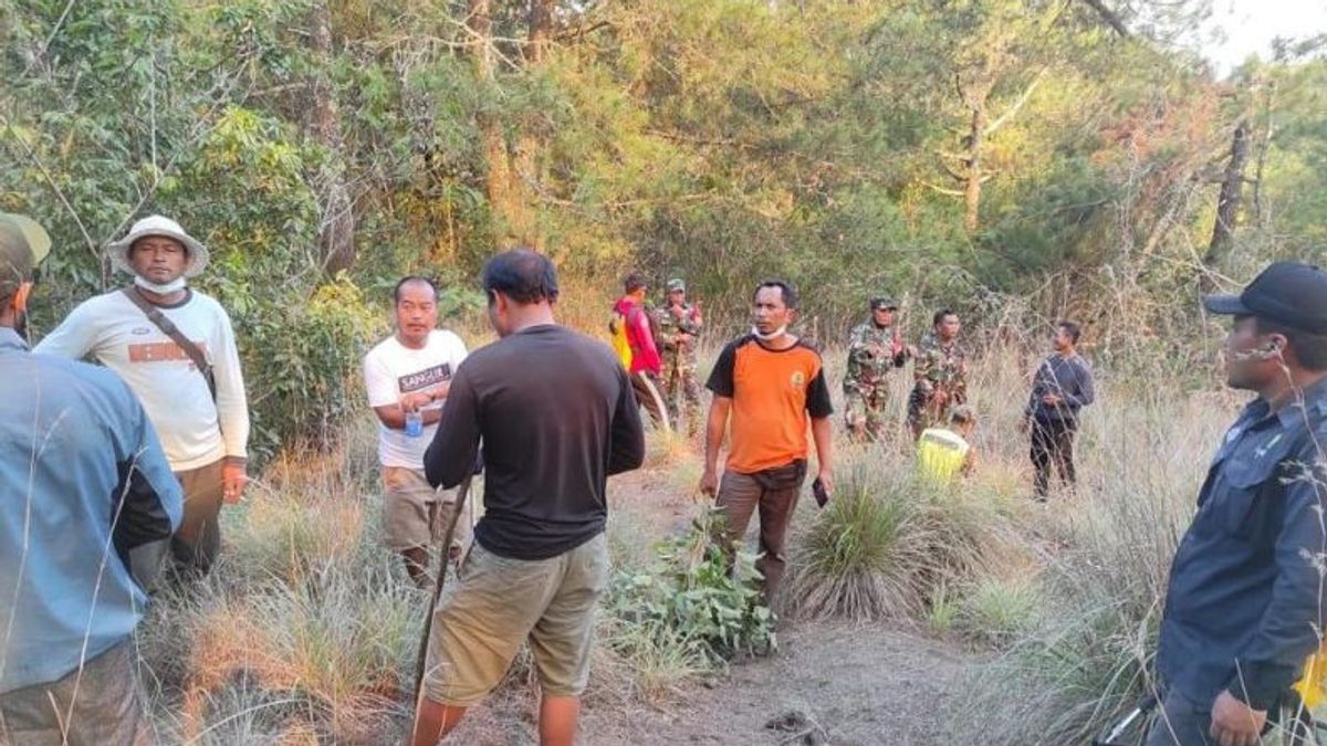  バトゥール・キンタマニ・バリ山の斜面で火災が正常に消火