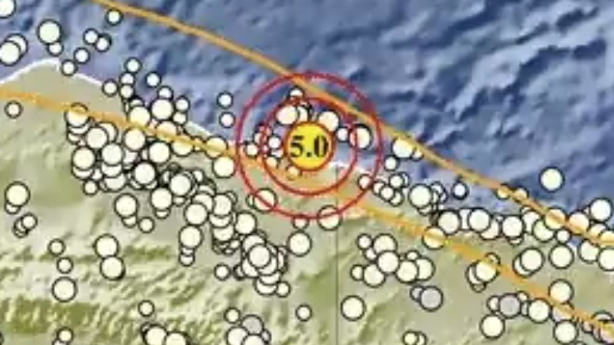 Gempa Papua Magnitudo 5, Depth 10 Km