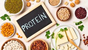 Alasan Tubuh Membutuhkan Lebih Banyak Protein di Usia 40 Tahun ke Atas
