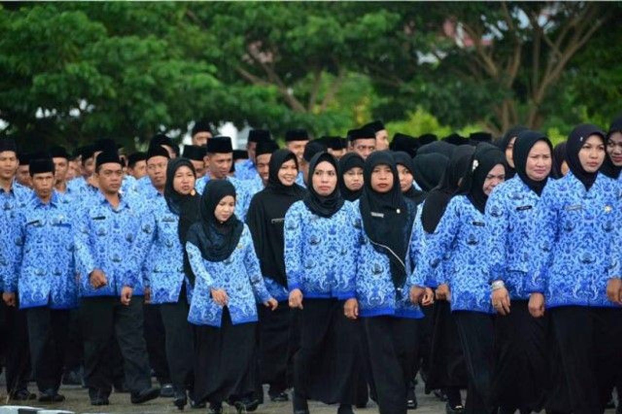 مهنة المعلمين الصف يصبح Primadona CPNS في DKI جاكرتا