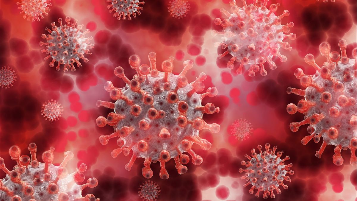 Varian Baru Virus Corona Terdeteksi di Afrika Selatan
