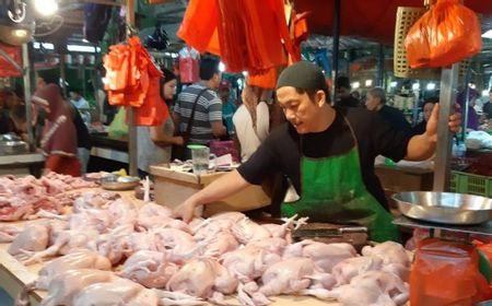 Mantap, Harga Ayam dan Ikan di Pontianak Turun Jelang Imlek