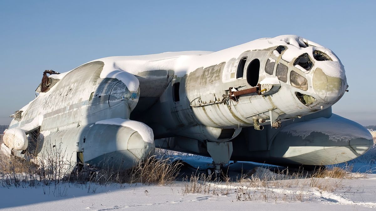 Bartini Beriev VVA-14, A Soviet Submarine Hunting Dragon That Never Served