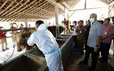 Ganjar Gerak Cepat Antisipasi Penyebaran Antraks, Serbu Vaksinasi Ternak