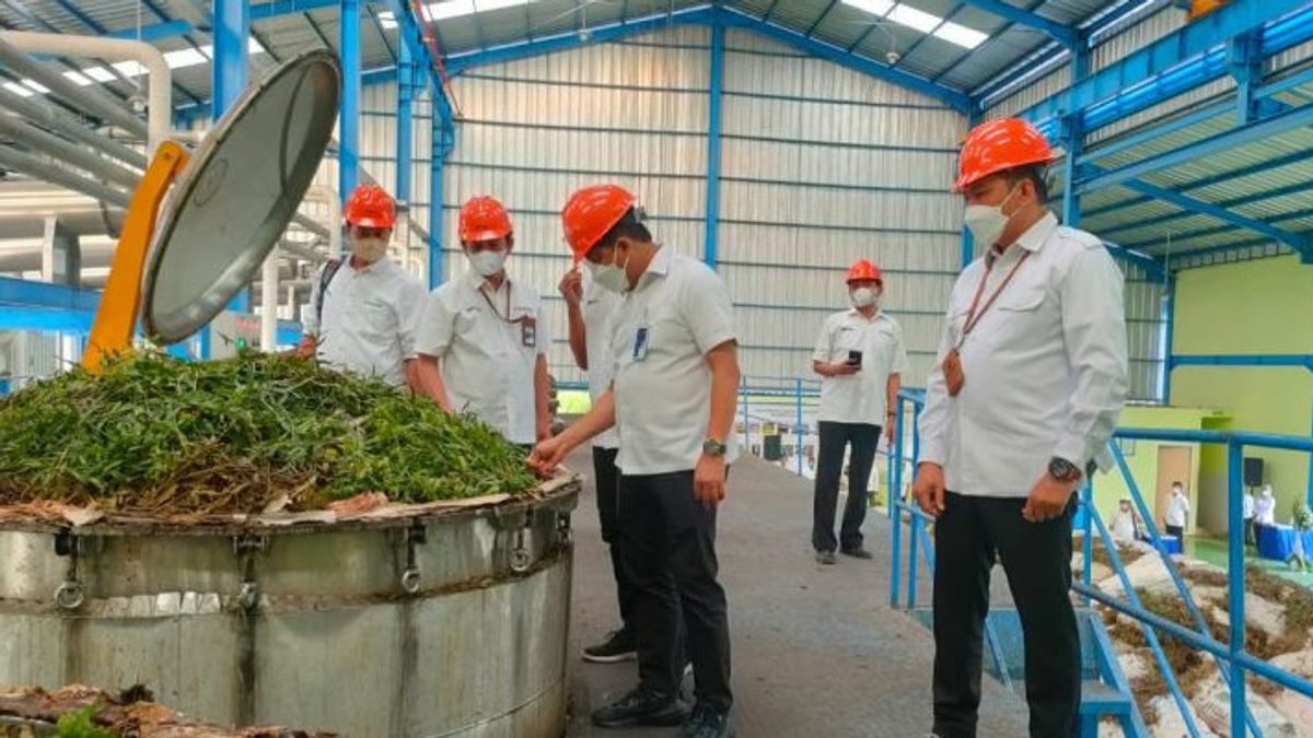 Pabrik Minyak Kayu Putih Sukun di Ponorogo Direvitalisasi, Perhutani Akan Datangkan Alat Modern