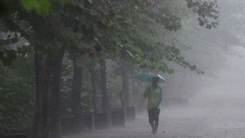 جاكرتا - لا يزال لدى جاكرتا احتمال هطول أمطار غزيرة لمدة 3 أيام قادمة ، وهذا هو تفسير BMKG